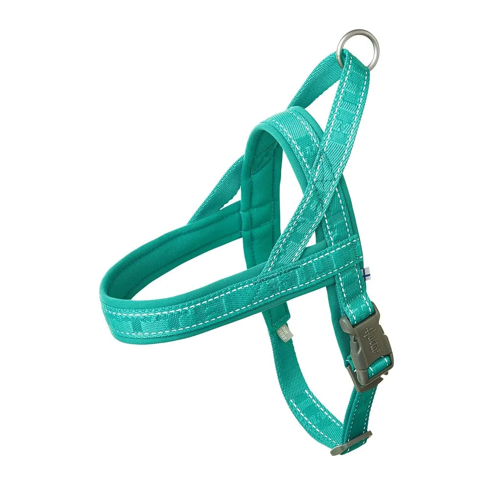 Casual Padded Dog Harness