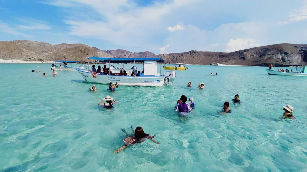 Discover La Paz: Espíritu Santo Sea Lion Swim Adventure