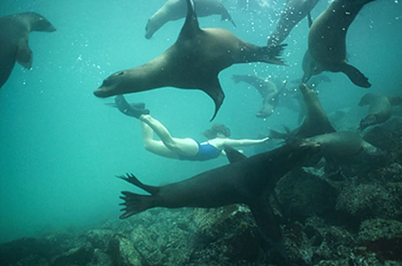 Discover La Paz: Espíritu Santo Sea Lion Swim Adventure