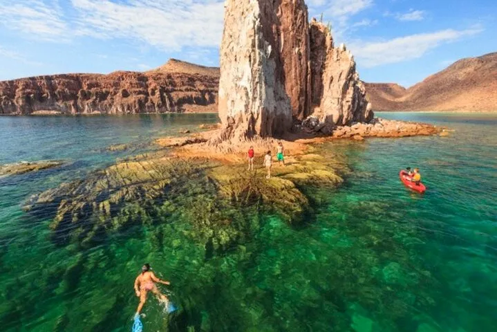 Discover La Paz: Espíritu Santo Sea Lion Swim Adventure