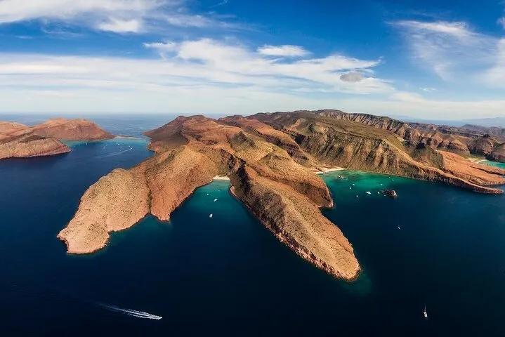 Discover La Paz: Espíritu Santo Sea Lion Swim Adventure