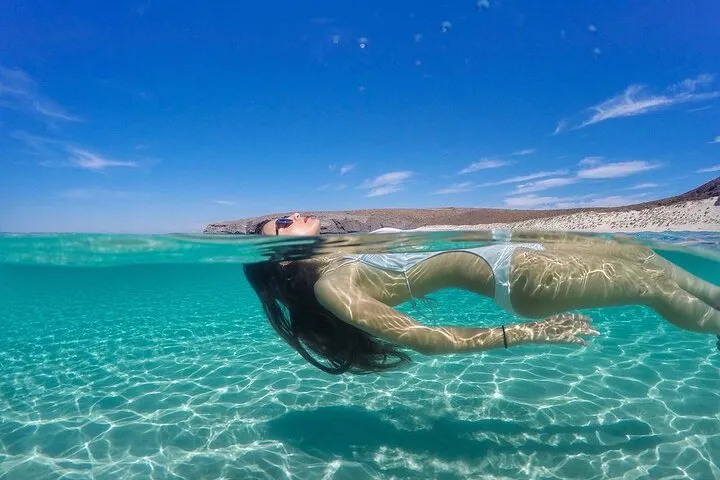 Discover La Paz: Espíritu Santo Sea Lion Swim Adventure