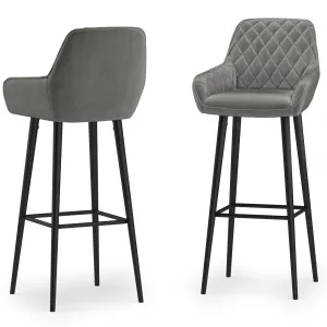 Garey Bar Stool (Set of 2)