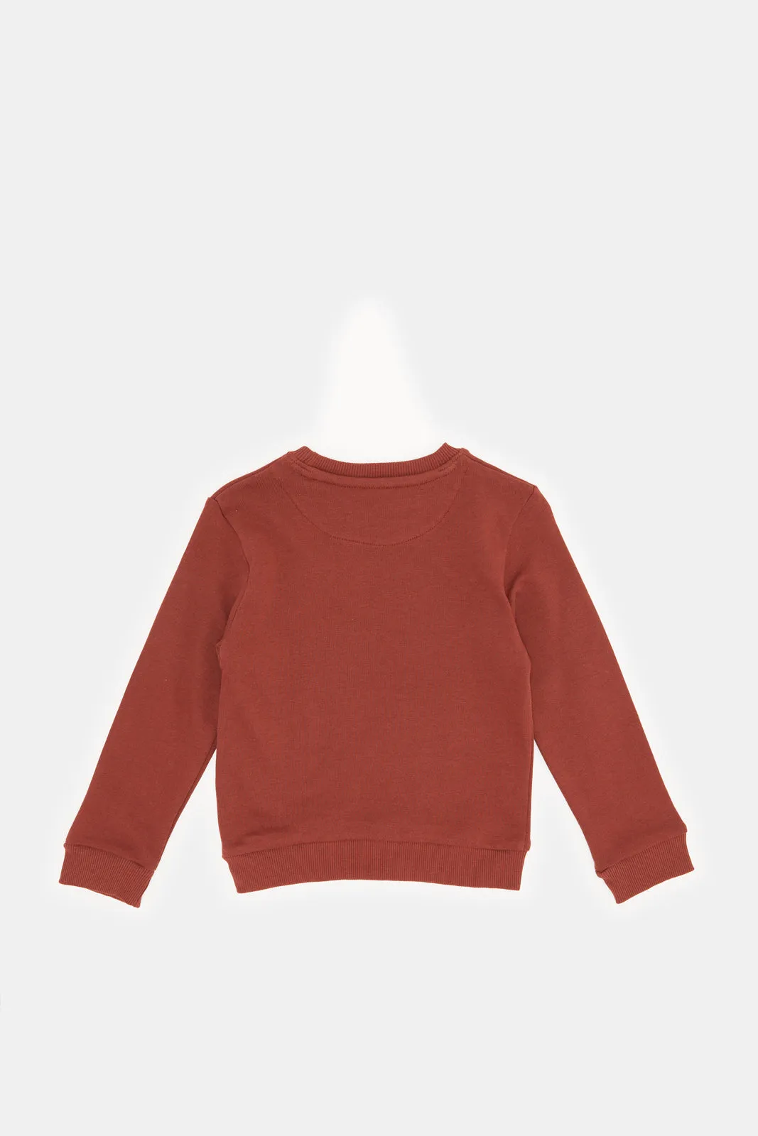 Infant Boys Burgundy Printed Sweatshirt