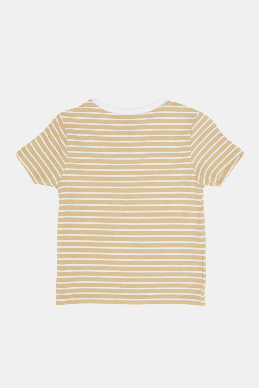 Infant Boys Rust Striped T-Shirt