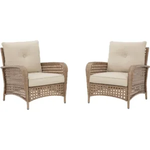 Outdoor Braylee Lounge Chair with Cushion (set of 2)