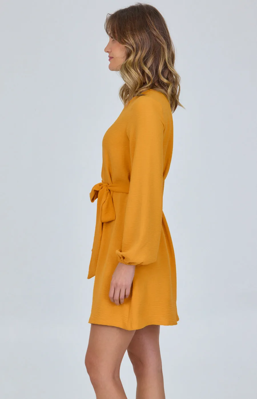 Round Neckline Long Sleeve Shift Dress